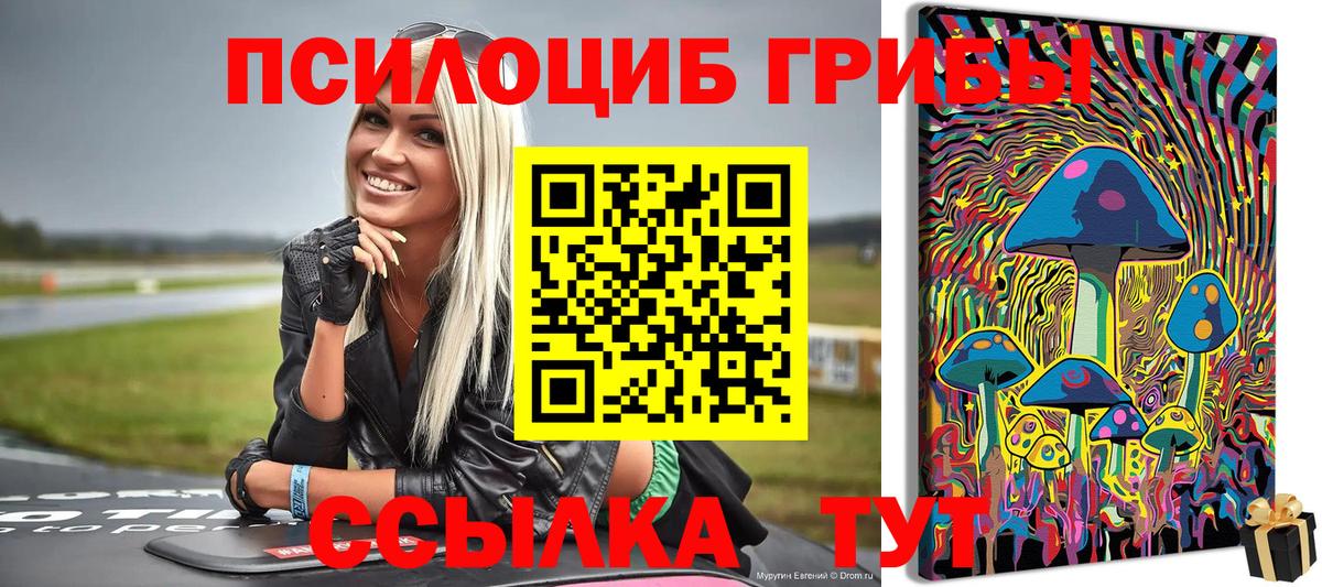 Псилоцибиновые грибы Psilocybe Шадринск